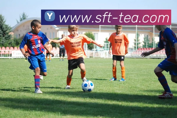 App Interface Preview