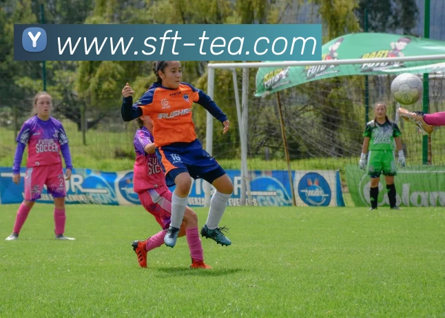 信誉好的平台APP 封面图